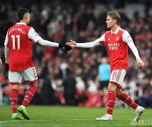 开云APP下载-阿森纳倒在决赛门口